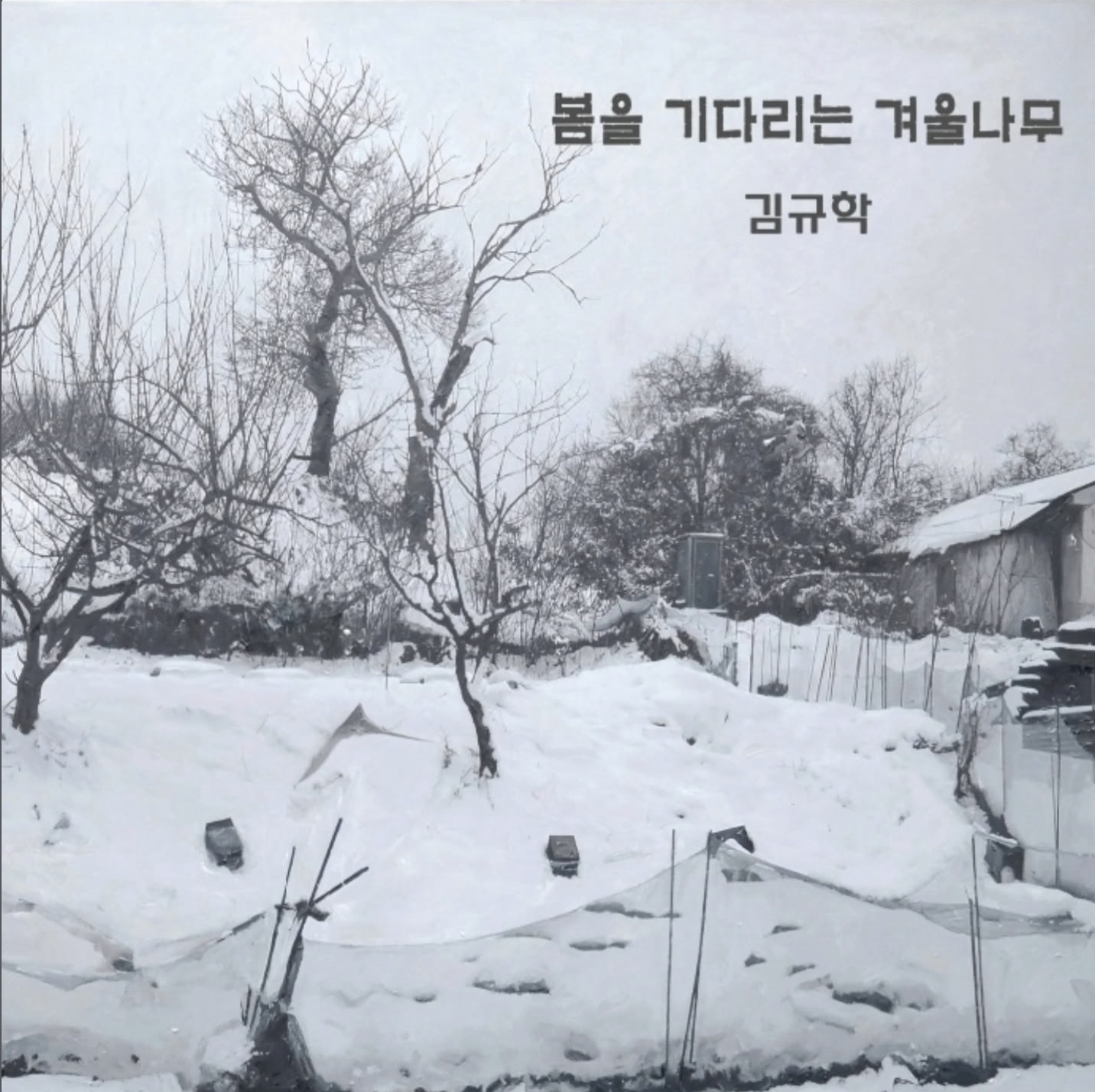  김규학 개인전 소개 이미지 1